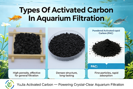 Types of Activated Carbon in Aquarium Filtration | Complete Guide